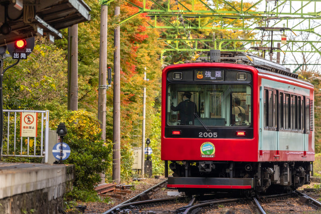 いざ、定番の箱根旅へ！箱根登山電車と箱根ウォーキングを楽しもう！